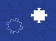 Puzzleteil