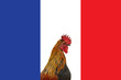 Drapeau français et Coq