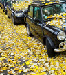 Autumn in Paris