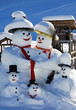 Snow family