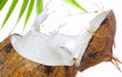 coconut splash