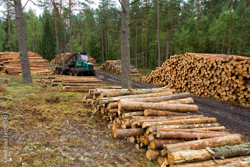 Photo: Truck work with timber Truck work with timber