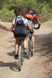 VTT