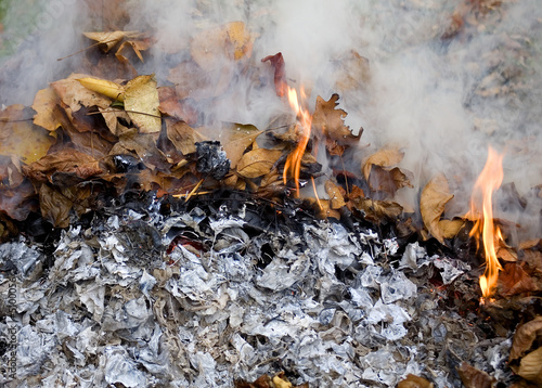 Photo: burn pile burn pile