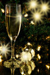 celebration