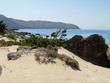 sandstrand