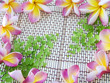 composition fleurs frangipanier