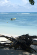 Seychelles, La Digue, Anse la Réunion Seychelles, La Digue, Anse la Réunion