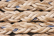Roping Blue