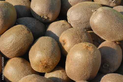 kiwi