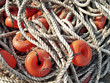 Ropes