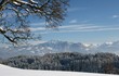 Winterlandschaft Winterlandschaft