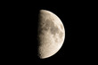 Lune