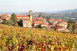 Village of Theizé in Beaujolais Village of Theizé in Beaujolais