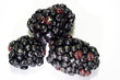 Blackberry 3 berries macro close-up with white background 2 Blackberry 3 berries macro close-up with white background 2