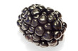 Blackberry single berry macro close-up with white background 2 Blackberry single berry macro close-up with white background 2