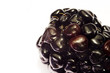 Blackberry macro close-up with white background 2 Blackberry macro close-up with white background 2