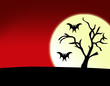 Full Moon Bat