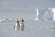 Antarctic Christmas