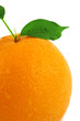 Orange detail on white background