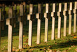 Crosses at soldiers cemetery in Montauville, France