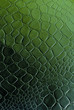 Reptilian Background Texture