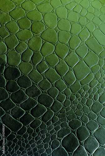 Reptilian Background Texture