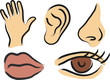 Sensory perception