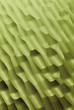 Corrugated Surface