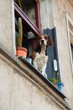 Dog looking from the window with plants in the pots
