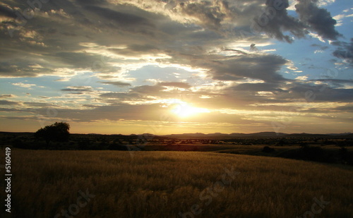 Foto: Sonnenuntergang in Afrika Sonnenuntergang in Afrika
