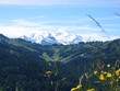 Chaîne du Mont Blanc