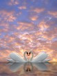Swan Heart