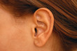 l'oreille l'oreille