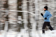 winter training in the forest
