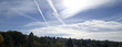 cielo favonico