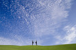 a perfect deal on a perfect landscape