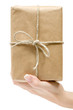 Holding a Brown Parcel