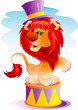 Lion in circus