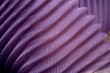 Blue silk textile background