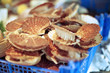 coquilles saint jacques