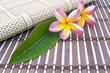 fleurs frangipanier sur set en bambou