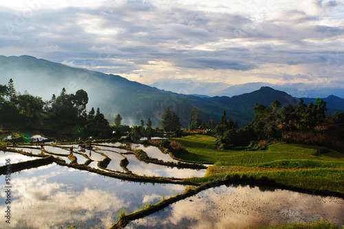 evening of the terrace field