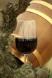vino y barrica