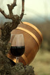 Vino y barrica