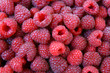 sweet red raspberries