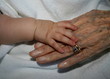 old and young holding hands