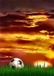 pallone da calcio