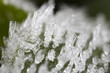 Extreme closeup of frost