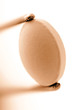 pilule